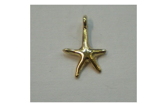Cuenta Estrella de Mar 15*10mm Oro