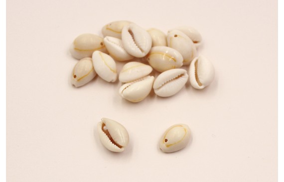 concha 16mm concha 16mm