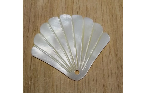 Concha triangular Nacar 42*50mm