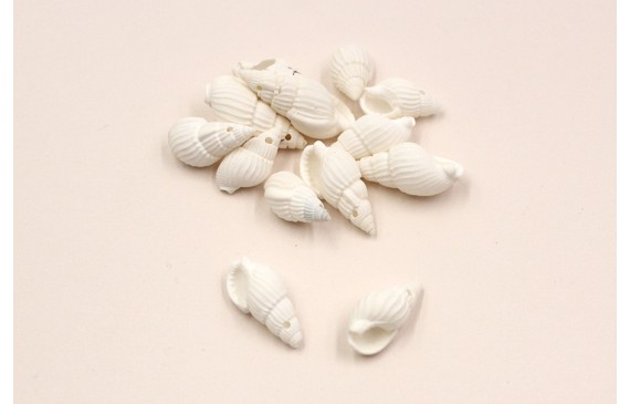 Cracola Blanca 20-22*10mm