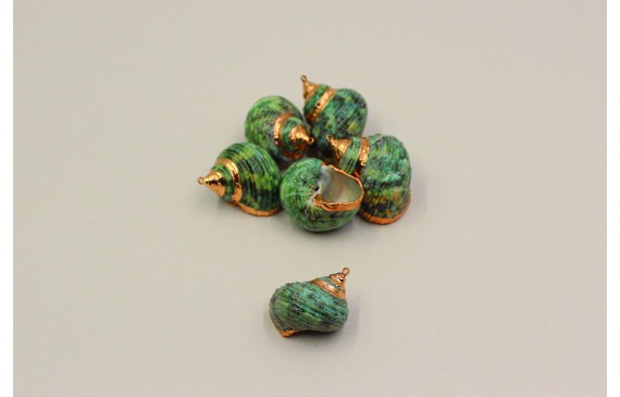 Caracola verdosa con bordes Oro 30*27mm