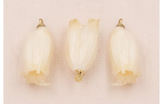 Flor Natural Campanilla con Resina 23*10 Crudo