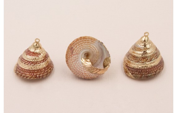 Caracola Piramidal  24*20mm bordes dorados