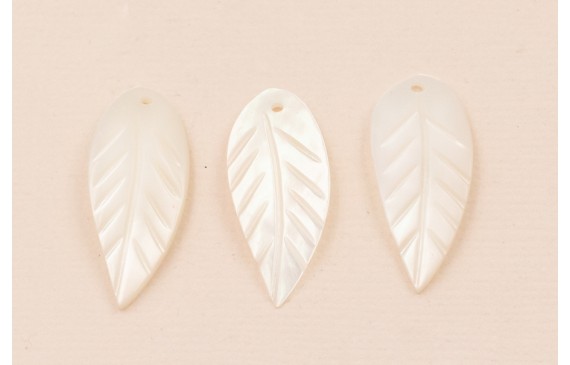 Pétalo curvado Nacar 26*10mm
