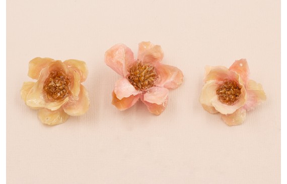 Flor Natural con Resina 30-35mm diam. Color Rosa