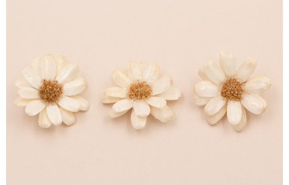 Flor Narutal con Resina: Doble Cara 50mm Beige