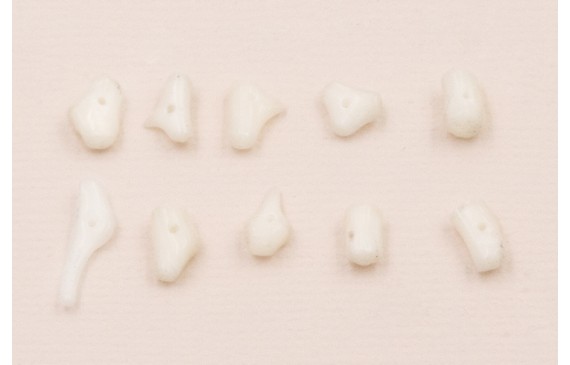 Ristra de 40cms de Chips Coral Blanco de 10-12mm