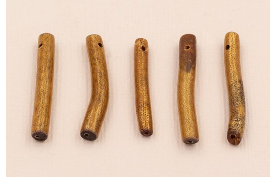 Palo Coral hueco 3*30mm Marrón