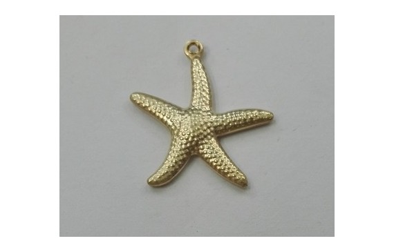 Colgante Estrella de Mar 20mm diametro Dorada Colgante Estrella de Mar 20mm diametro Dorada