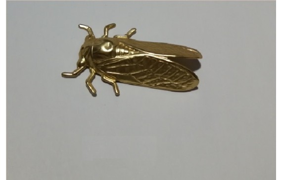 Cigarra 49*31mm oro mate