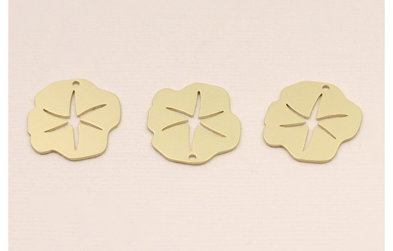 Chapa irregular 21mm estrella labrada