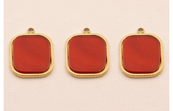 Colgante S.Steel 316L 16*13mm con Piedra Granate