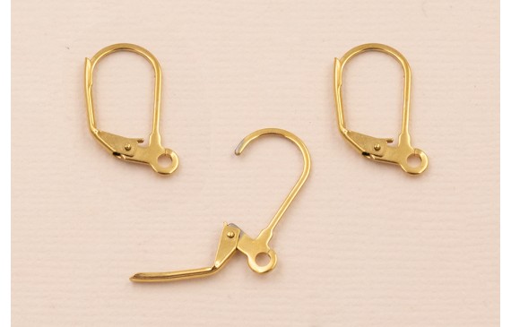 Pendiente Acero inox. 316L 15*10mm Oro