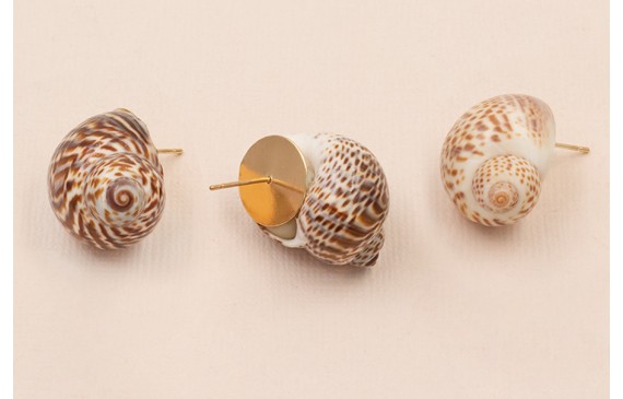 Pendiete Concha 30mm diametro