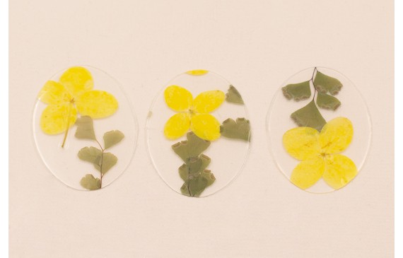 Lentejuela Ovalo 40*28 Flores Naturales Amarillas