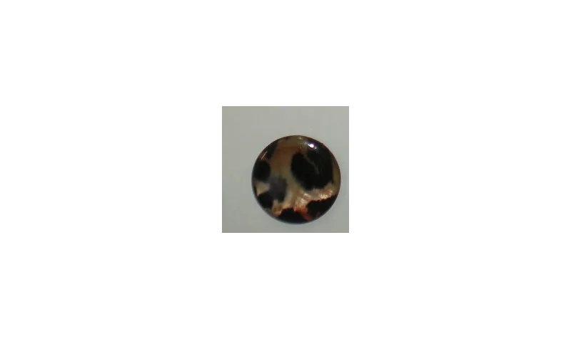 Disco leopardo /Cuentas de  Ceramica 