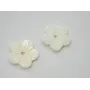 Flor labrada 20mm /Cuentas de  Nacar 