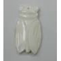 Escarabajo Nacar 30*22 /Cuentas de  Nacar 