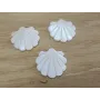 Concha plana Nacar 25*25mm /Cuentas de  Nacar 