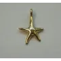 Cuenta Estrella de Mar 15*10mm Oro / Cuentas Metálicas de Latón / Zamak