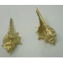 Colgante caracola 33*16mm Oro Mate / Cuentas Metálicas de Latón / Zamak