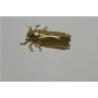 Cigarra 49*31mm oro mate / Cuentas Metálicas de Latón / Zamak
