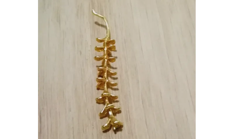 Colgante rama 43*9mm Oro Mate / Cuentas Metálicas de Latón / Zamak