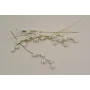 Pieza Rama alambrada abalorio Blanco 77mm / Cuentas Metálicas de Latón / Zamak