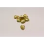 Colgante almeja 22*18mm Oro Mate / Cuentas Metálicas de Latón / Zamak