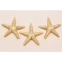 Colgante Estrella Coral 60mm Stainless Steel Oro / Cuentas Metálicas de Acero Inoxidable
