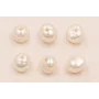 Perlita ovalada- grano de arroz /Cuentas de  Perlas 