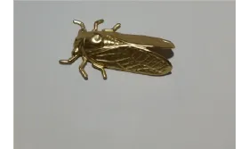 Cigarra 49*31mm oro mate / Cuentas Metálicas de Latón / Zamak