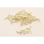 Cuenta Rama Coral 50*24mm Dorado Mate / Cuentas Metálicas de Latón / Zamak