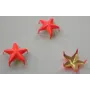 Tachuela estrella 16mm NAranja fluor / Cuentas Metálicas de Latón / Zamak