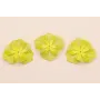 Flor 40mm 2 Capas color Lima / Cuentas Metálicas de Latón / Zamak