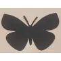 Mariposa lámina Latón 80*55 NEGRA / Cuentas Metálicas de Latón / Zamak