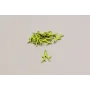 Cogante coral esmaltado 15*10mm verde pistacho / Cuentas Metálicas de Latón / Zamak