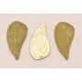 Hoja Plana 32*15 Oro Mate y Esmalte verde / Cuentas Metálicas de Latón / Zamak