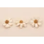 Flor Narutal con Resina: Doble Cara 50mm Beige /Cuentas de  Nacar 