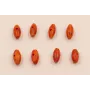 Cono Coral 8*3mm / Semipreciosas de 