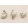 Concha bordes metal Dorado 25*25mm  /Cuentas de  Nacar 