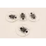 Disco Metacrilato de 30mm con lamina Escabajo /Cuentas de  Plástico / Resina 