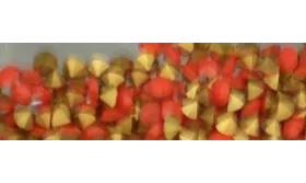 simil swarovski SS12 Coral.  CCC148-36