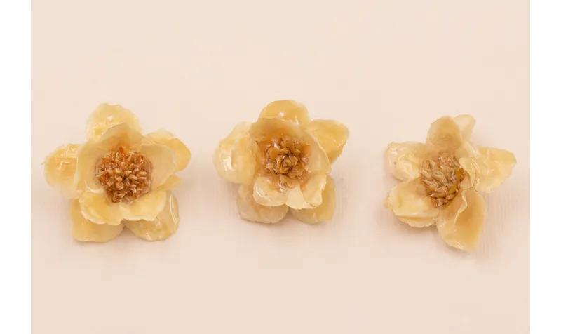 Flor Natural con Resina 30-35mm diam. Color Beige /Cuentas de  Nacar 