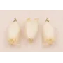 Flor Natural Campanilla con Resina 23*10 Crudo /Cuentas de  Nacar 