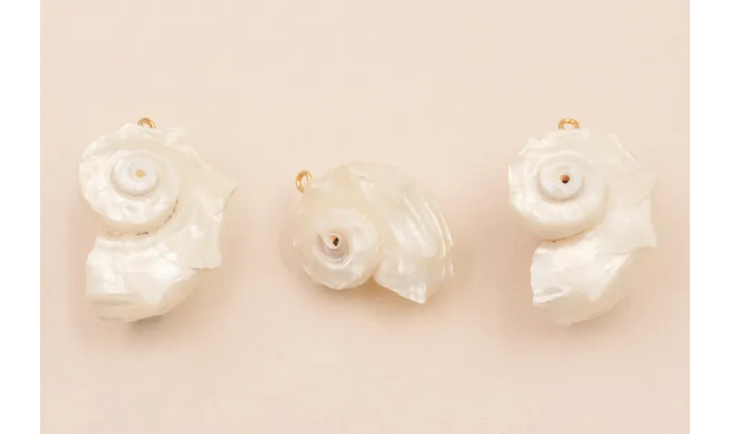 Colgante Caracola Concha 28*22mm /Cuentas de  Nacar 
