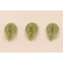 Hoja Resina Coral 10*7mm Verde /Cuentas de  Plástico / Resina 