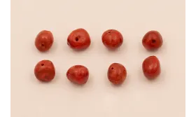 Bola irregular Coral 10*8*5mm / Semipreciosas de 