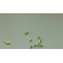 Tubito dorado 2mm / Cuentas Metálicas de Latón / Zamak