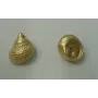 Colgante caracola 14*12mm Oro Mate / Cuentas Metálicas de Latón / Zamak